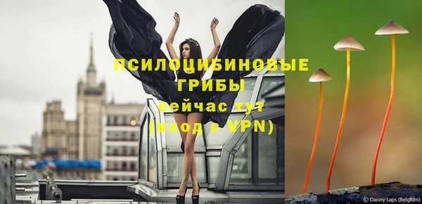 МДПВ Ладушкин