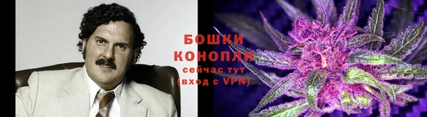 МДПВ Ладушкин