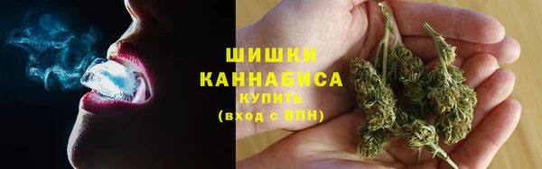 PSILOCYBIN Тында