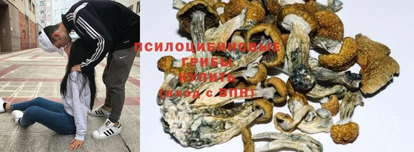 меф Лабытнанги