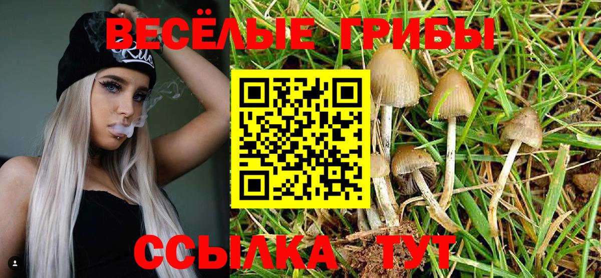 Псилоцибиновые грибы мухоморы Оренбург