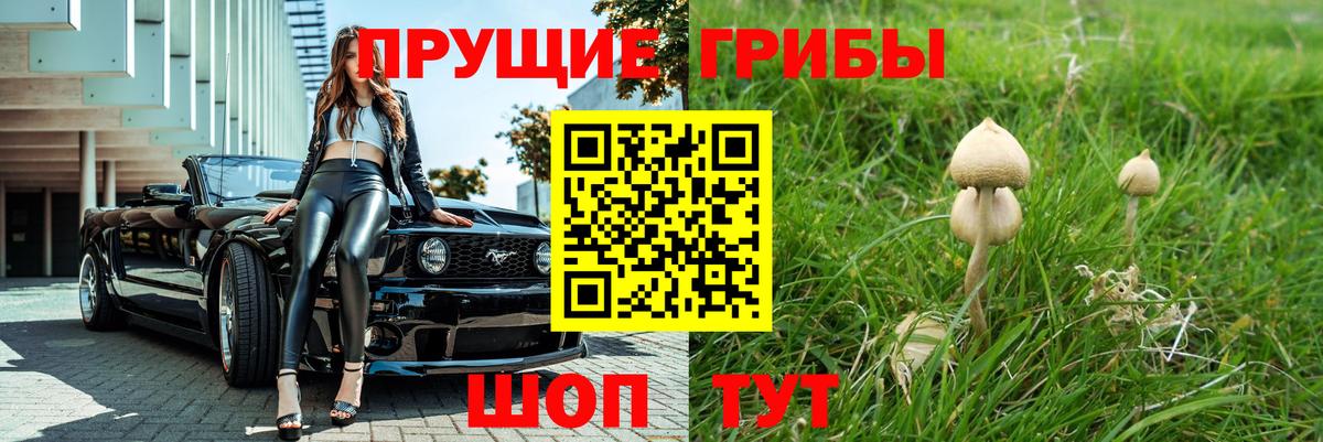 Псилоцибиновые грибы Psilocybine cubensis  Вход с VPN  продажа наркотиков  Оренбург 